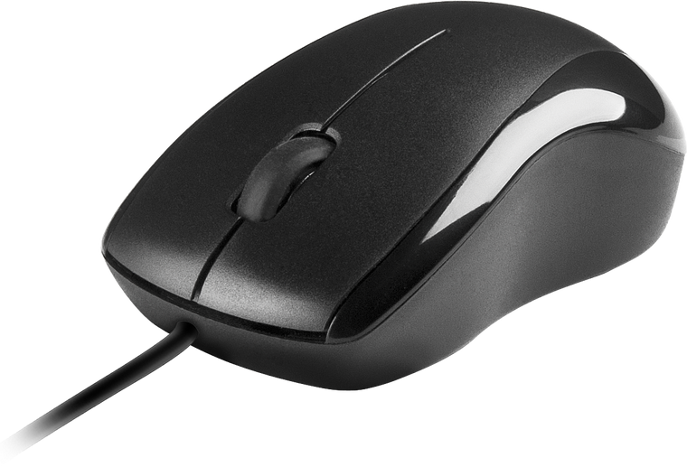 Schwarze kabelgebundene Computermaus mit zwei Tasten und Scrollrad auf weißem Hintergrund