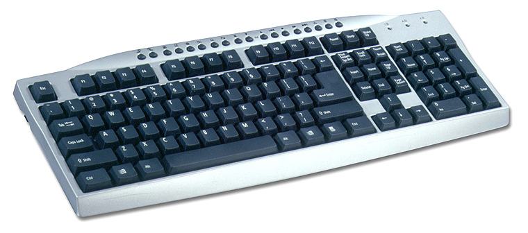 Schwarze PC-Tastatur mit silbernem Gehäuse, Funktionstasten und klassischem Layout