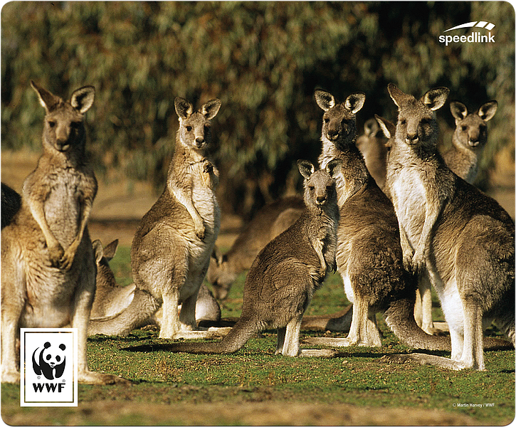 TERRA WWF Mauspad, Känguru