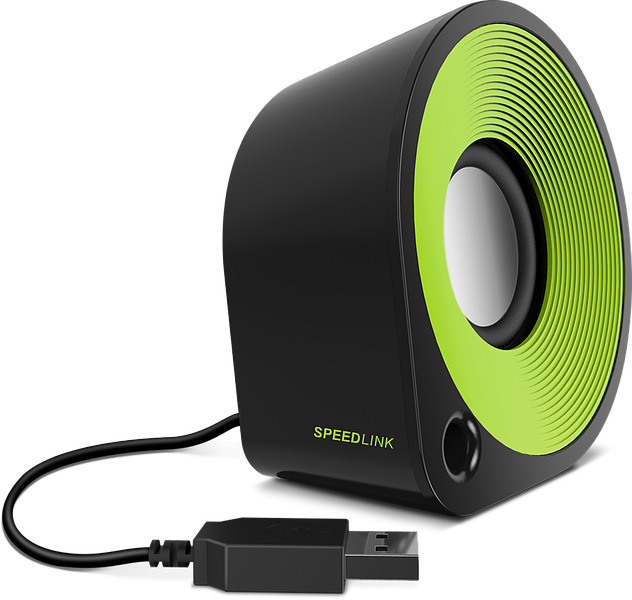 Schwarzer SPEEDLINK USB-Lautsprecher mit grünem Front-Design und USB-Anschluss