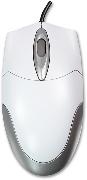 Abbildung einer weißen, ergonomischen Computermaus mit silbernen Akzenten und Kabelanschluss
