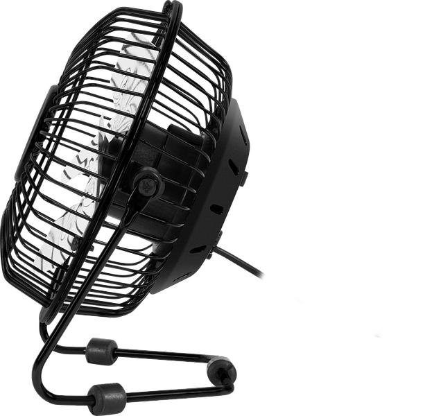 Kleiner schwarzer Tischventilator aus Metall mit Schutzgitter und stabilem Standfuß, ideal für den Arbeitsplatz oder das Büro
