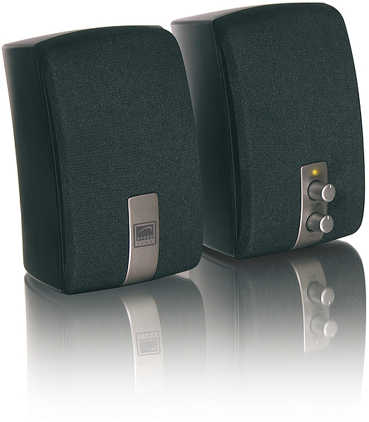 Zwei schwarze Speedlink Stereo Lautsprecher mit Frontbedienelementen, geeignet für Computer oder Laptop