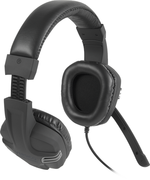 Abbildung eines schwarzen Over-Ear-Headsets mit gepolstertem Kopfbügel und Mikrofon, geeignet für Computer- und Gaming-Anwendungen