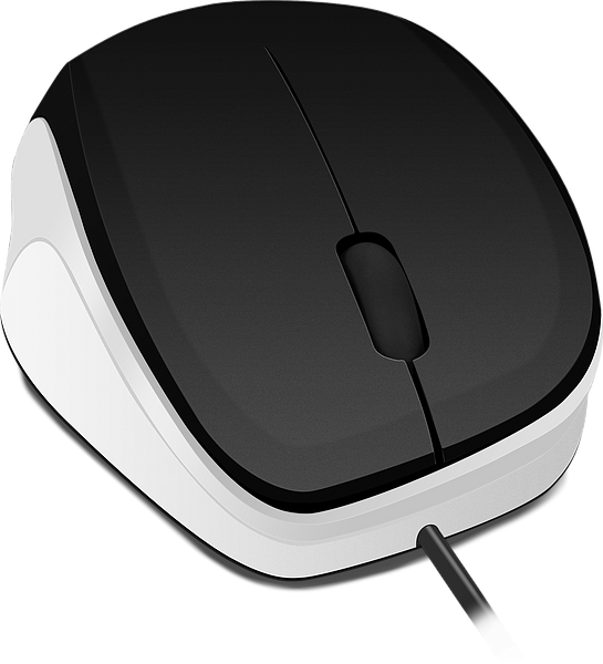 Abbildung einer schwarzen und weißen kabelgebundenen Computermaus mit ergonomischem Design