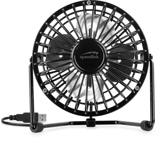Kleiner, schwarzer USB-Ventilator der Marke Speedlink mit Metallgitter, geeignet für den Einsatz am Arbeitsplatz oder Zuhause