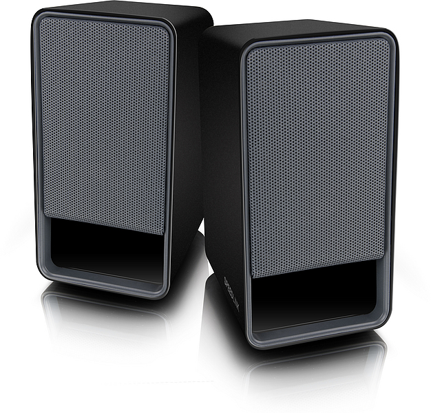 Zwei schwarze, rechteckige Computerlautsprecher mit silbernem Lautsprechergitter und reflektierender Oberfläche